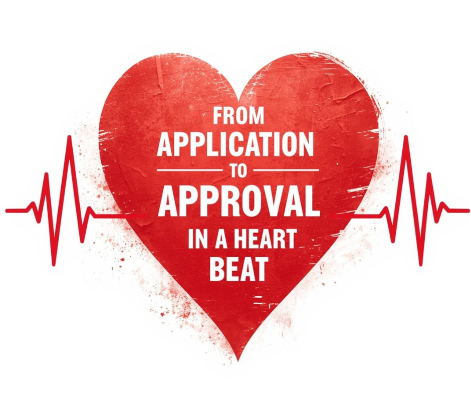 Introducing Vizualyse: Faster Decisions, Better Experiences for Our Members