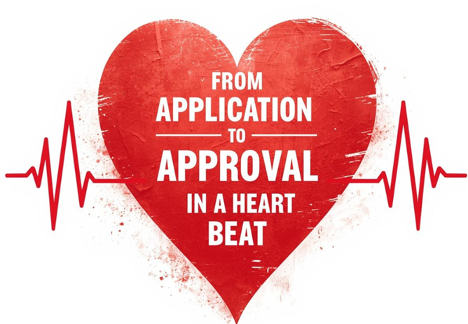 Introducing Vizualyse: Faster Decisions, Better Experiences for Our Members