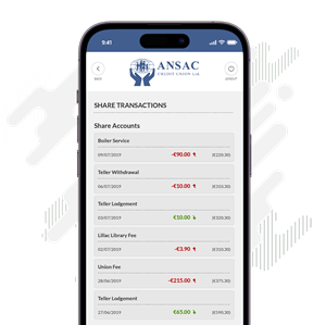 View Account Balances  and Transactions