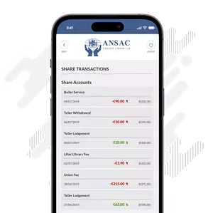 View Account Balances and Transactions