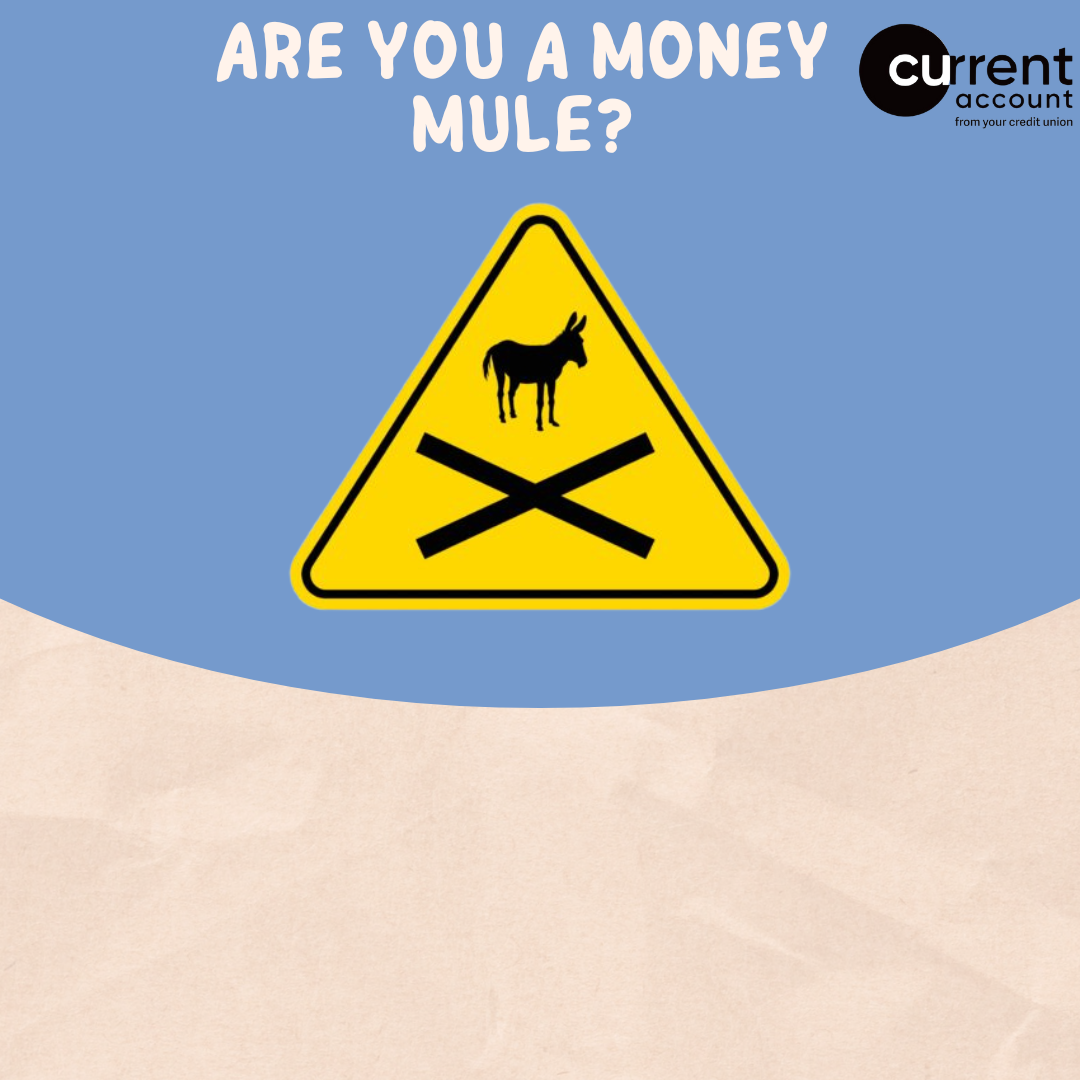 Money Muling